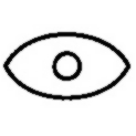 eye